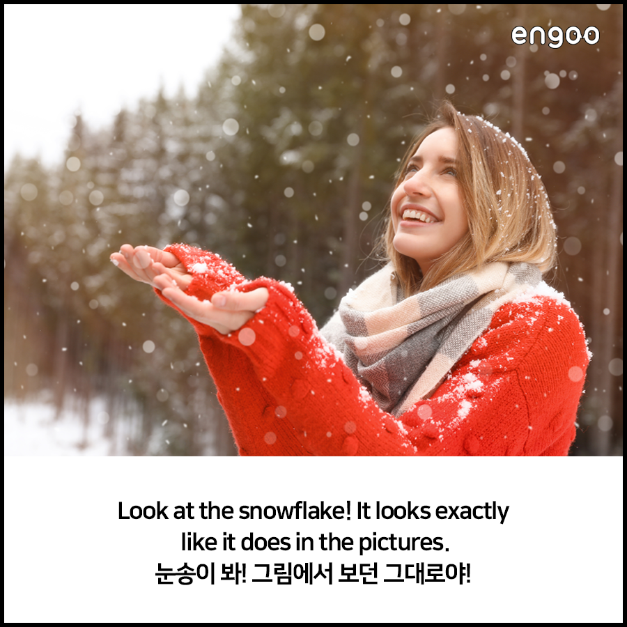 Snow, 첫눈 올 때 알아보는 눈 관련 영어 표현! | Engoo 블로그