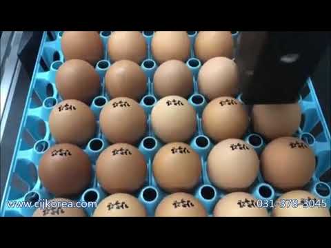 산업용마킹기] Rottweil(로트웰) E-Jet 455B 계란마킹_Cijkorea - Youtube