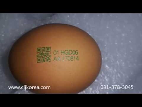 Rea Jet Hr 계란 난각코드 식용잉크 Qr코드마킹 (주)씨.아이.제이코리아 - Youtube
