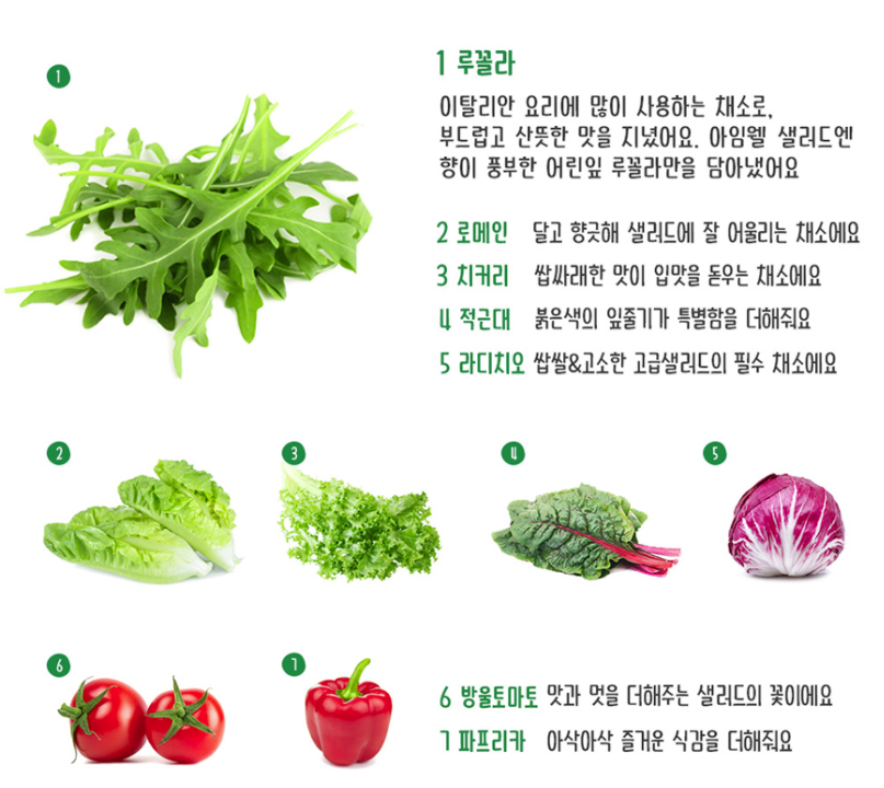 샐러드 종류 야채, 소스(드레싱) 정리