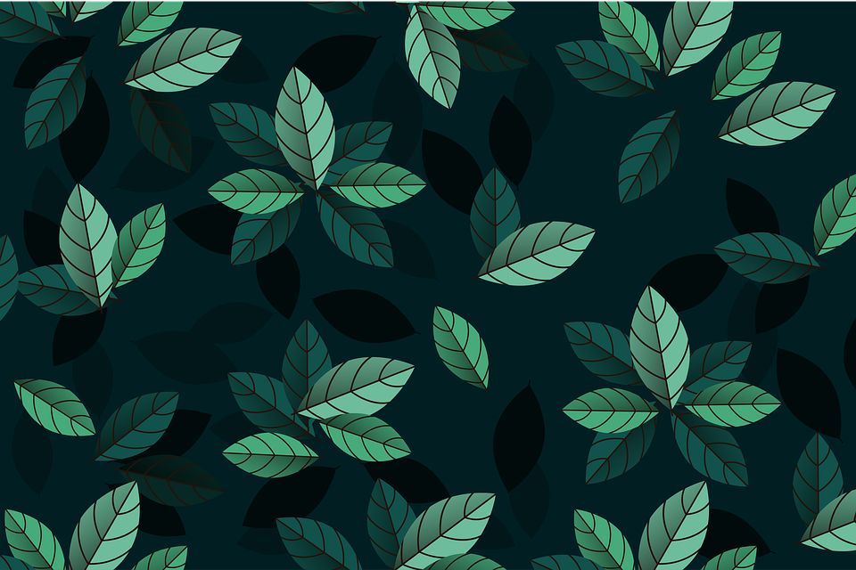 나뭇잎 잎 식물 - Pixabay의 무료 이미지