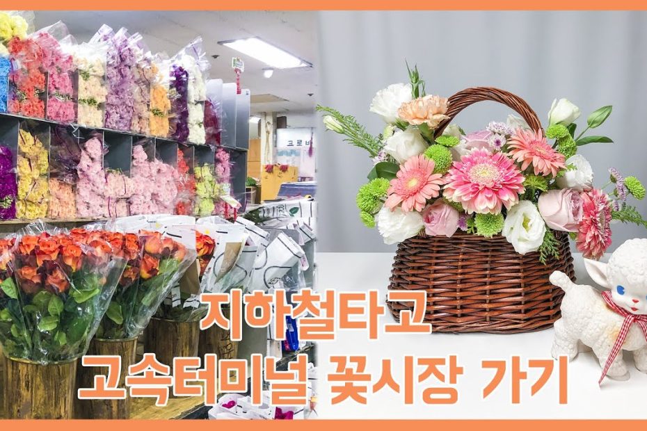 Eng)고속터미널 꽃시장 지하철로 가는방법/영업시간 - Youtube