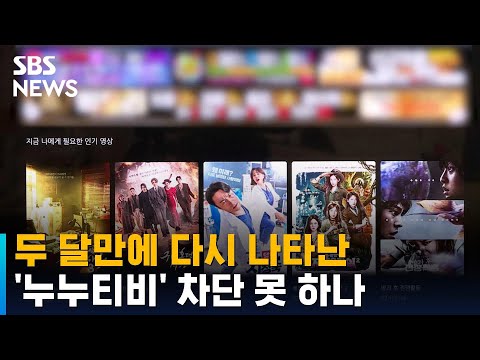 퇴출 두 달만에 다시 살아난 '누누티비'…차단 못 하나 / SBS
