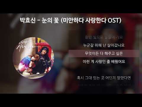 박효신 - 눈의 꽃 [미안하다 사랑한다 OST] [가사/Lyrics]