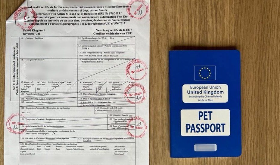 how-long-does-a-pet-passport-last-in-ireland-your-guide-to-pet-travel