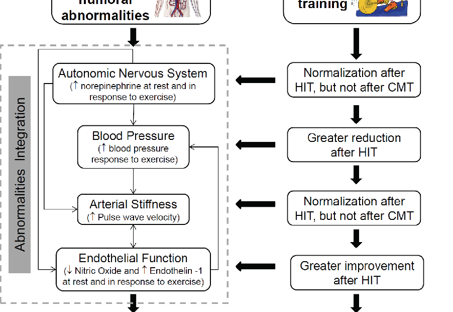 High-Intensity Interval Training And Hypertension: Maximizing The Benefits  Of Exercise? | Semantic Scholar