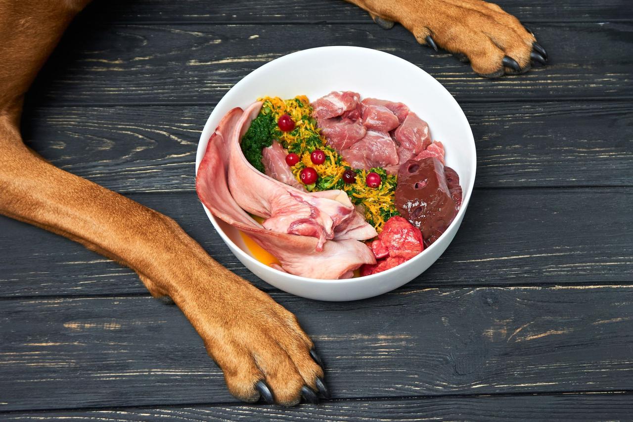 is-beef-safe-for-dogs-to-eat-a-comprehensive-guide