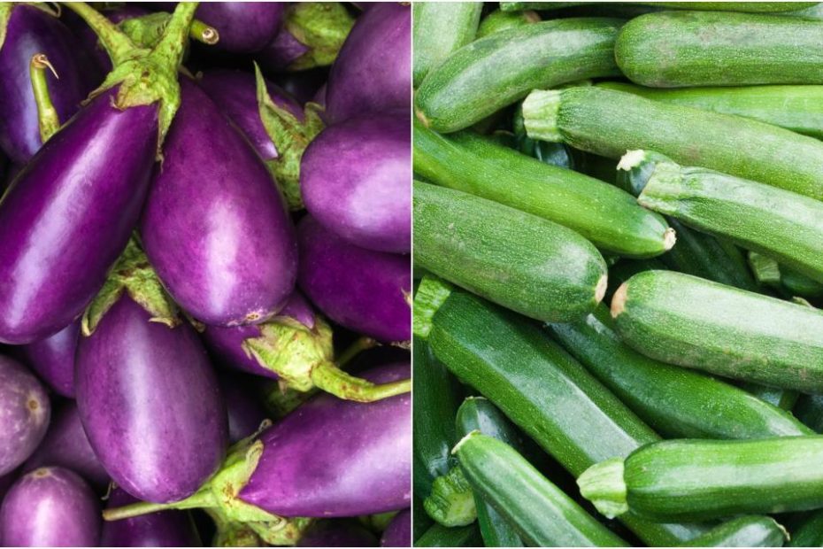 Which Is Healthier: Eggplant Or Zucchini?