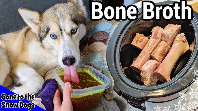 Beef Barley Soup For Dogs | Diy Dog Treats 129 | Homemade Soup For Dogs -  Youtube