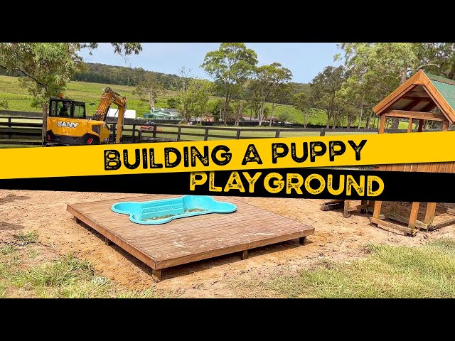 Building A Puppy Playground - Youtube