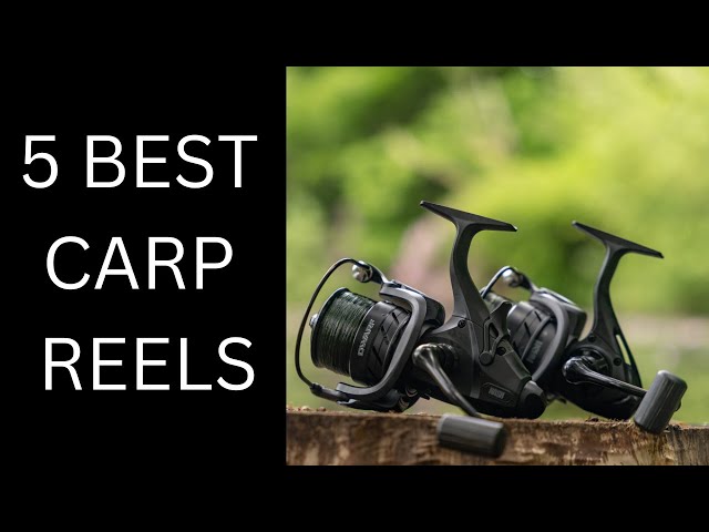 5 Best Carp Reels | Carp Fishing Reels - Youtube