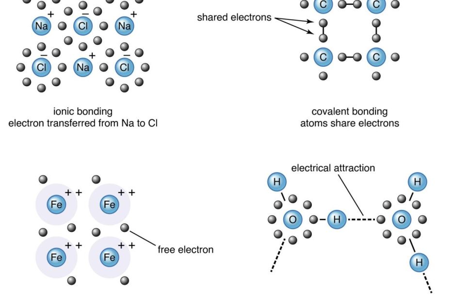 What Are The Types Of Bonds A Comprehensive Guide